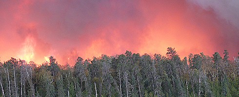 Forest Service Reopens BWCA’s Pagami Creek Fire Area