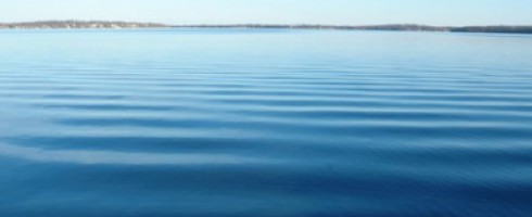 The Lake Monona Water Walk celebrates clean water